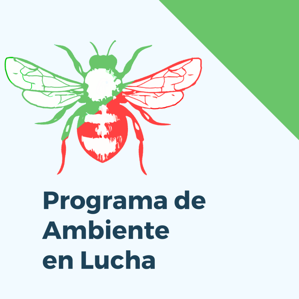 EL PROGRAMA DE AMBIENTE EN LUCHA