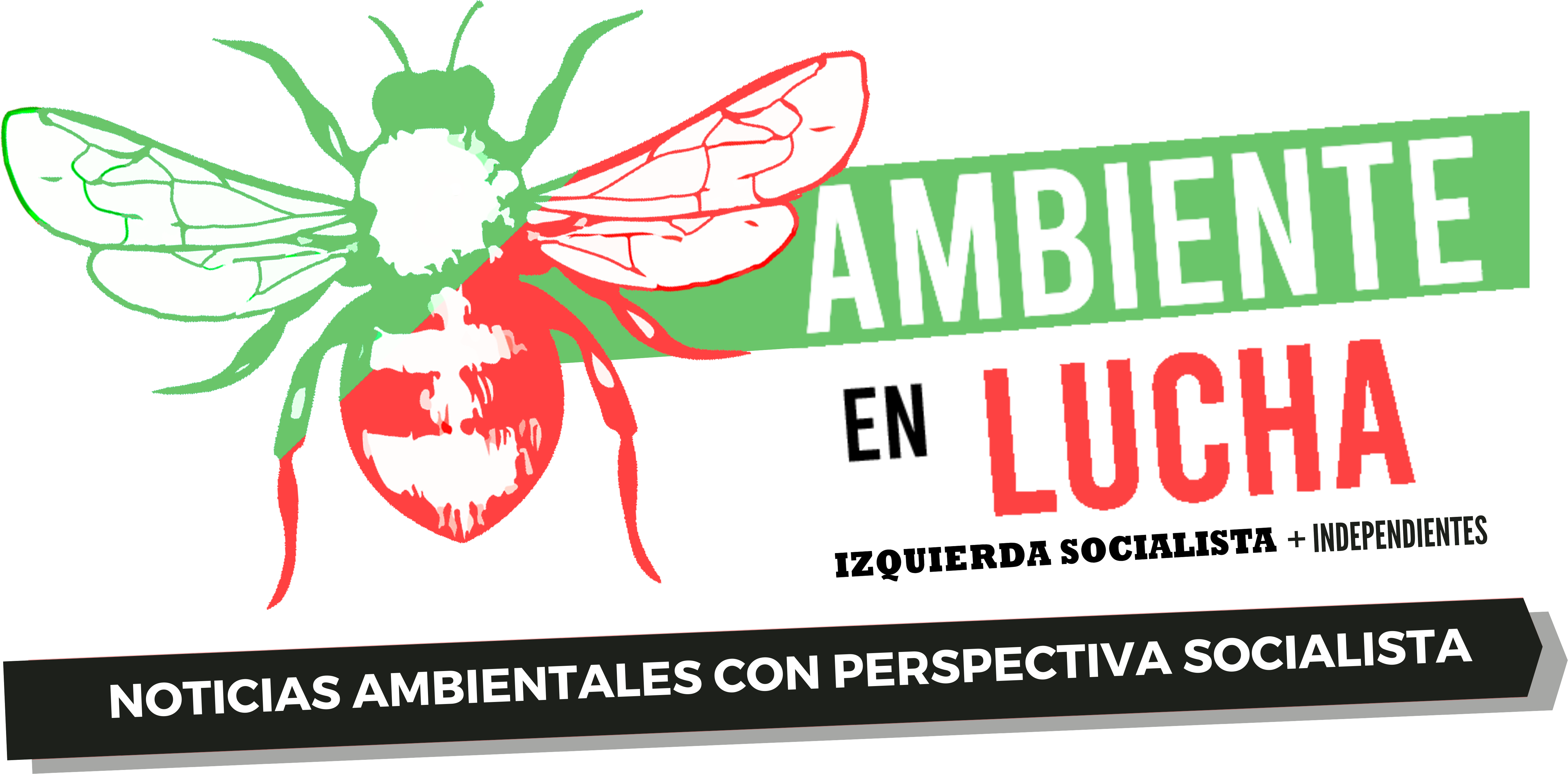 Ambiente en Lucha