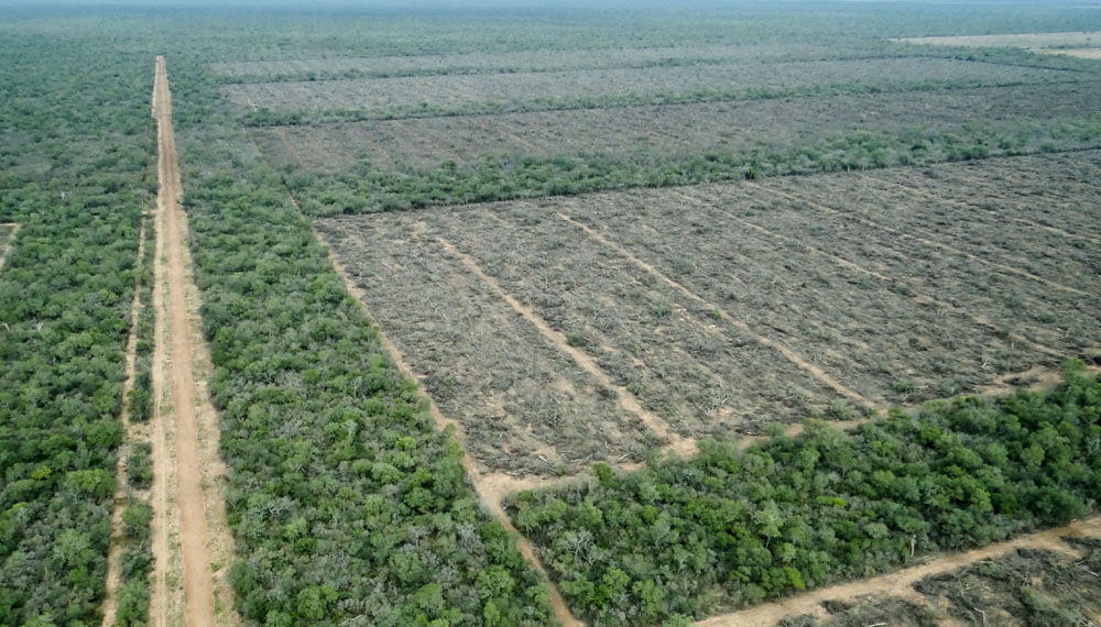 Santiago del Estero: por una coordinación de lucha independiente a los gobiernos para frenar el desastre ambiental