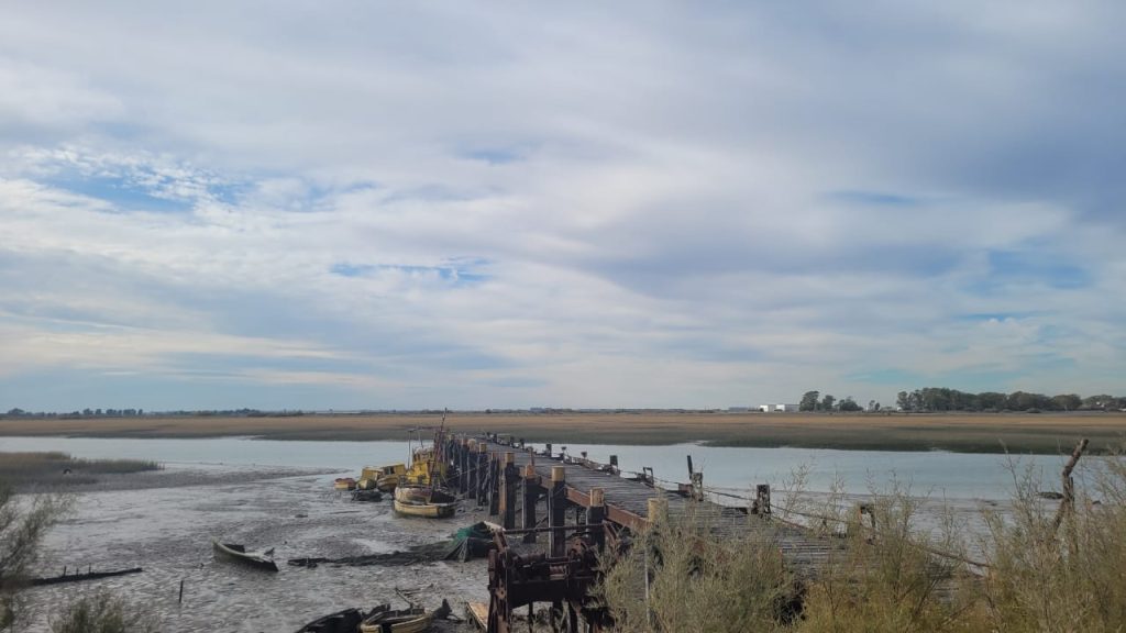 Bahía Blanca: Del Toxi Tour a la lucha contra el Toxi-Futuro costero