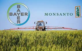Monsanto-Bayer: condena confirmada en los Tribunales Estadounidenses