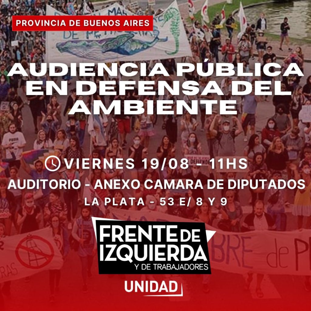 AUDIENCIA PÚBLICA EN DEFENSA DEL AMBIENTE.