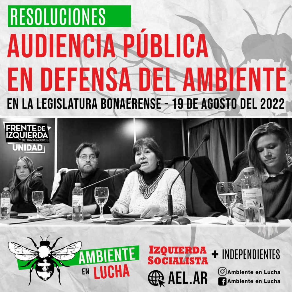 Audiencia Pública en Defensa del Ambiente: Resoluciones