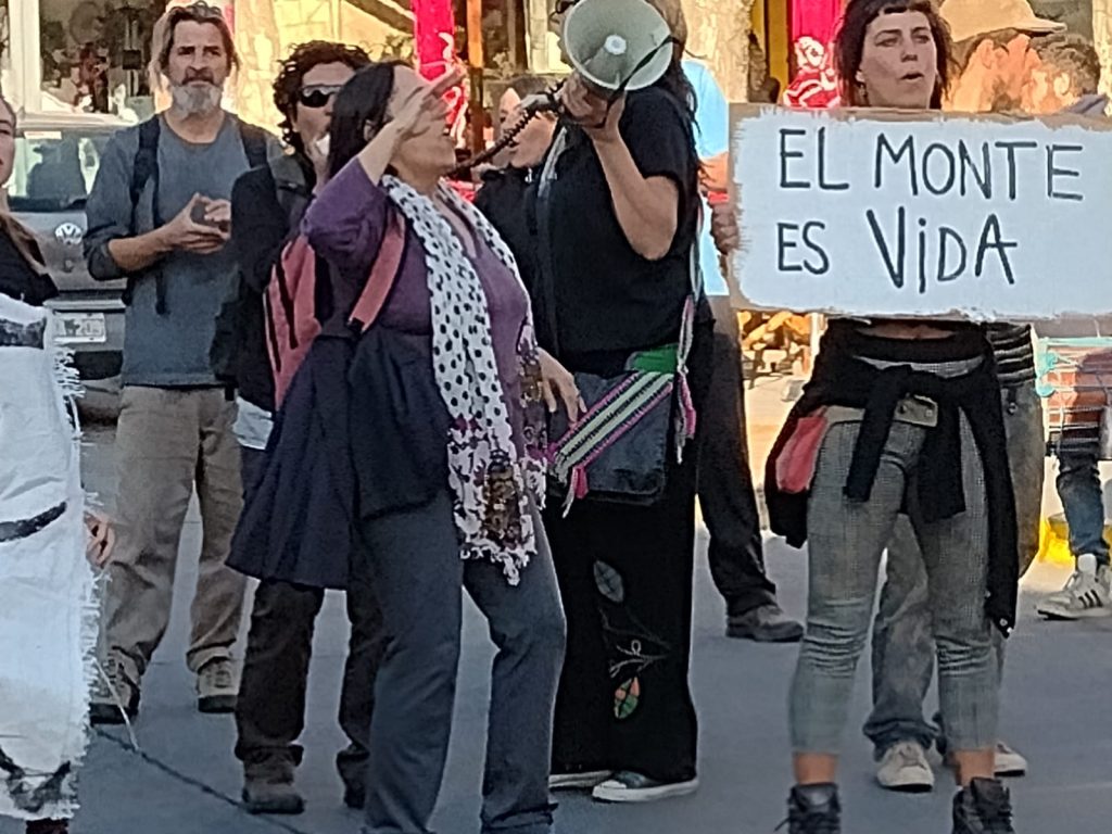 Marcela Martín, entrevista a una de las procesadas por defender el Valle de Punilla