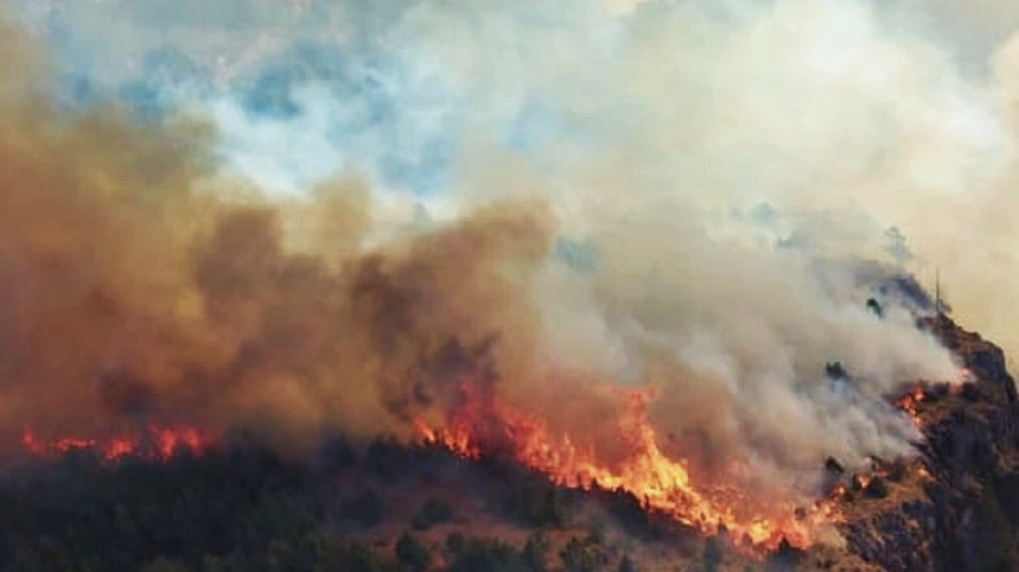 Parque Nacional Los Alarces: cambio climático y desidia oficial