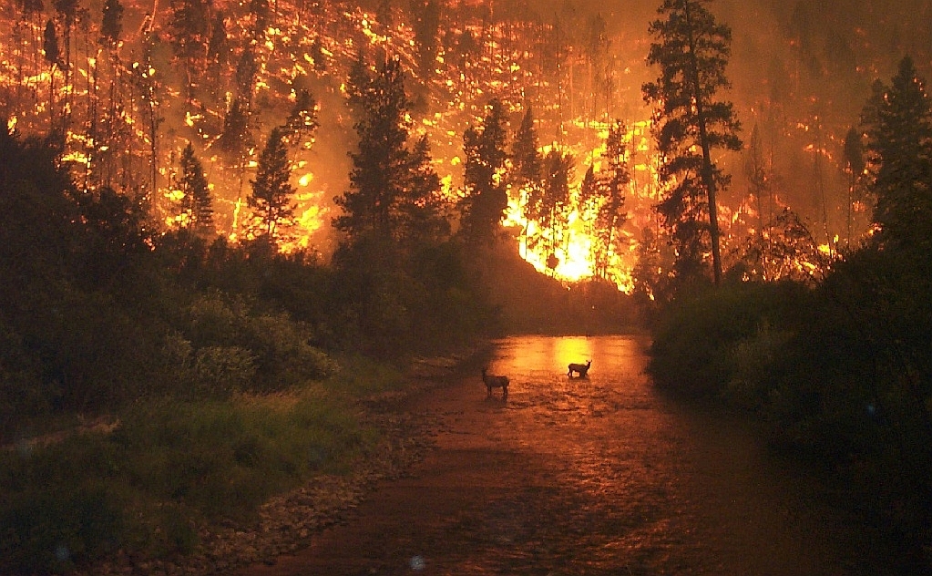 Todos los caminos conducen al fuego: el aumento mundial de la incidencia de rayos