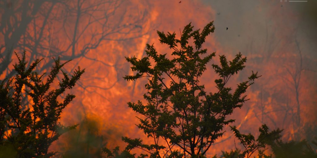 El cambio climático y las temporadas de incendios