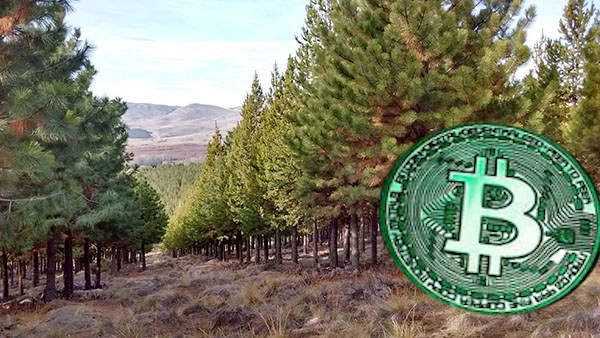 Esquel lanza una criptomoneda verde